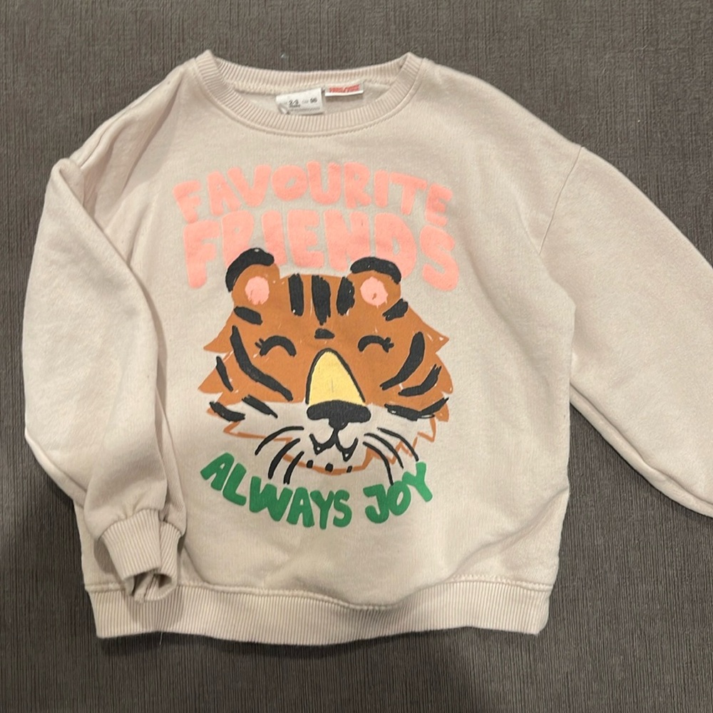 Zara 2-3 year sweatshirt